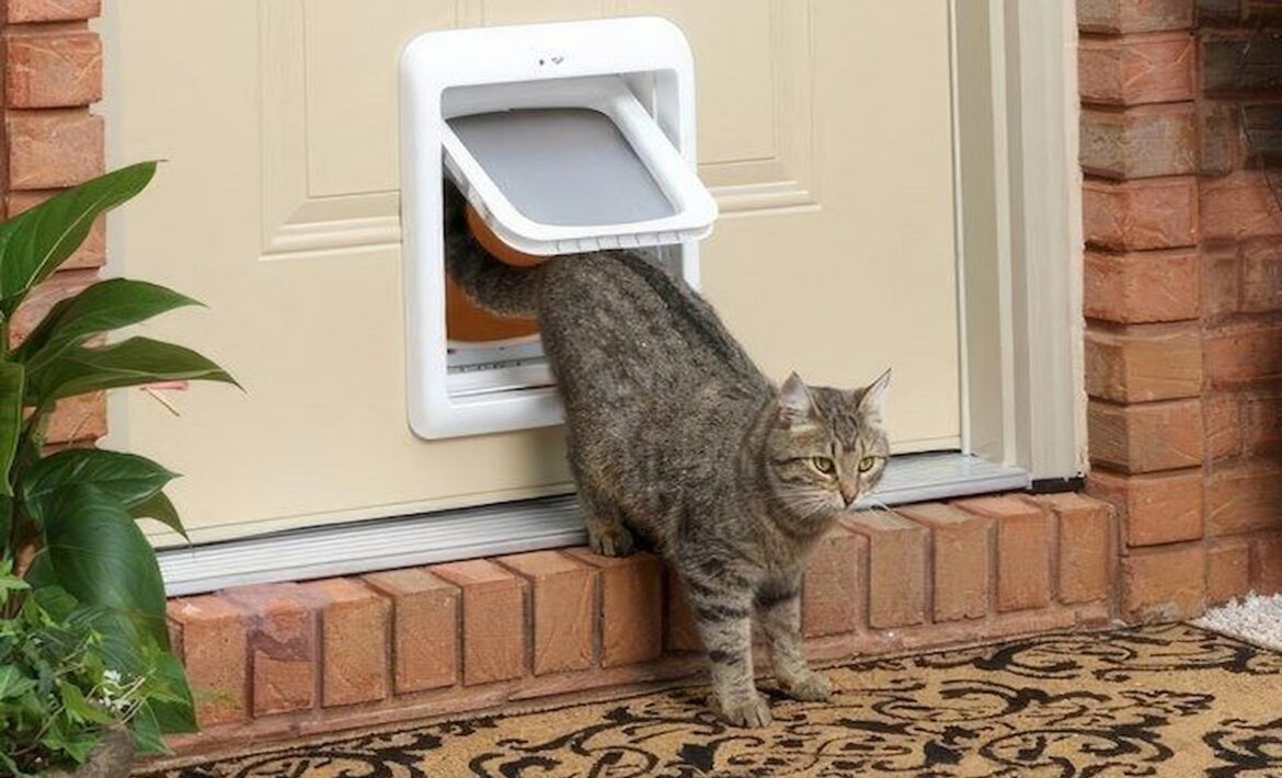 Cat flap installation