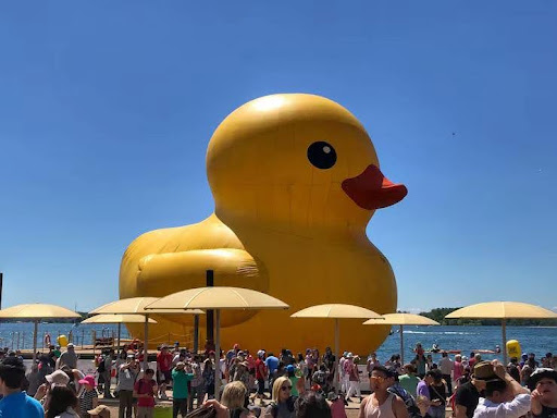 Duck Inflatables